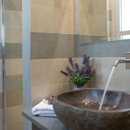 德里莫娜丽别墅 *